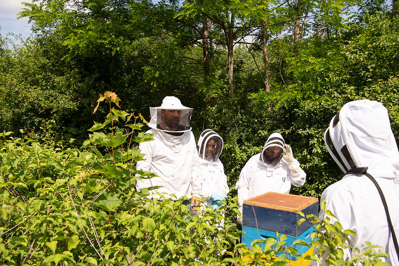 Fête de la nature