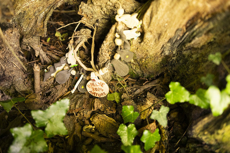 Fête de la nature