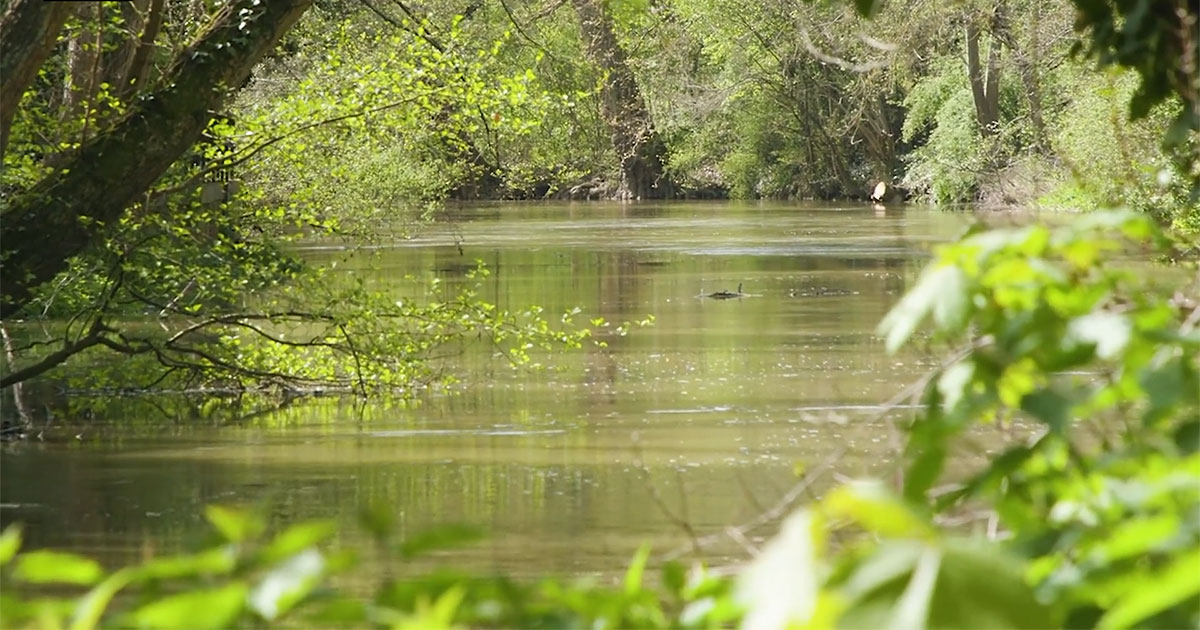 L’Yerres s’est refait une beauté