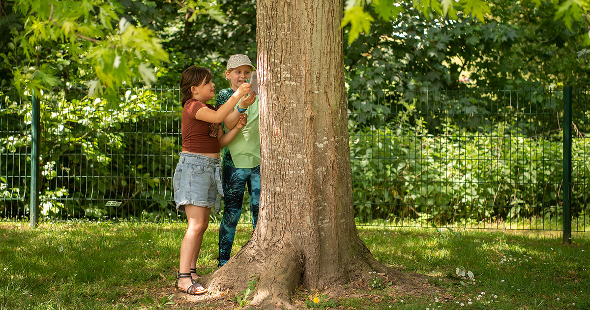 Enfants et arbre